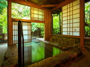 天然温泉100％掛け流しの露天風呂付客室（お宿 野の花）